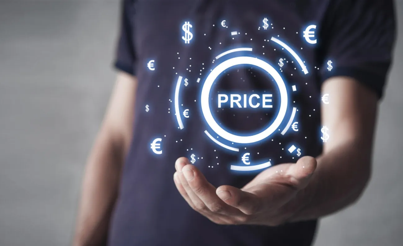 Project Pricing Model